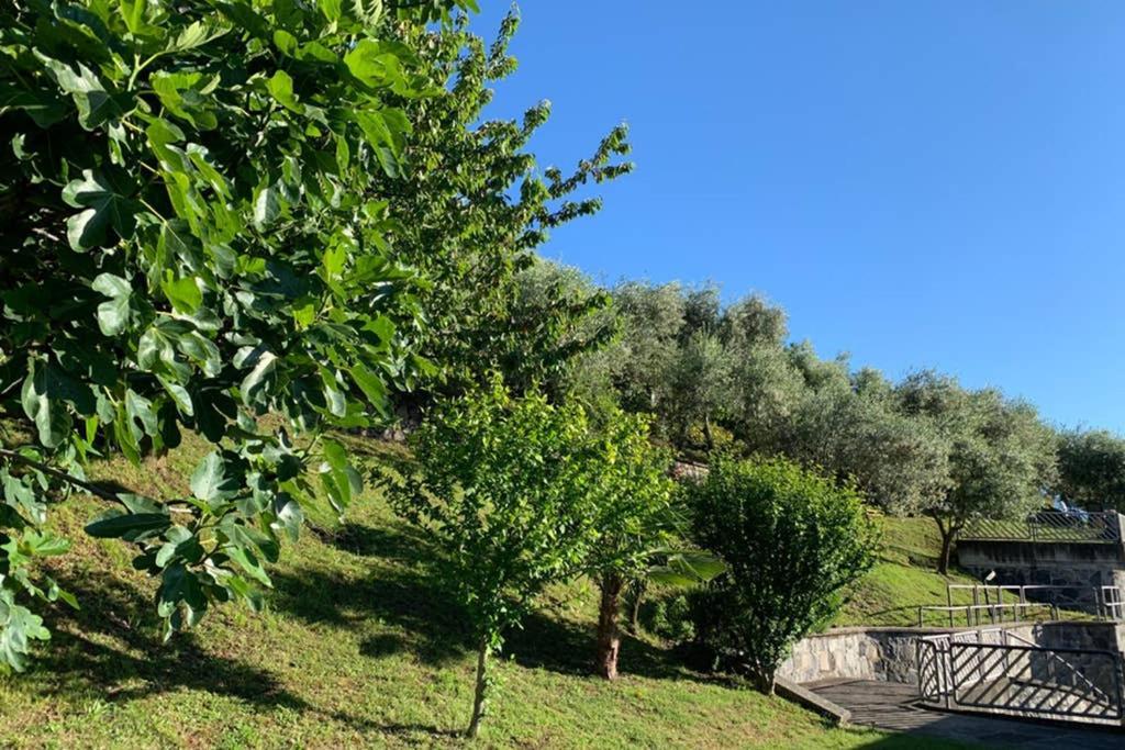 Cozy House On Iseo Lake Fonteno Εξωτερικό φωτογραφία